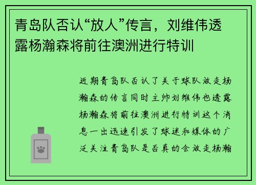 青岛队否认“放人”传言，刘维伟透露杨瀚森将前往澳洲进行特训